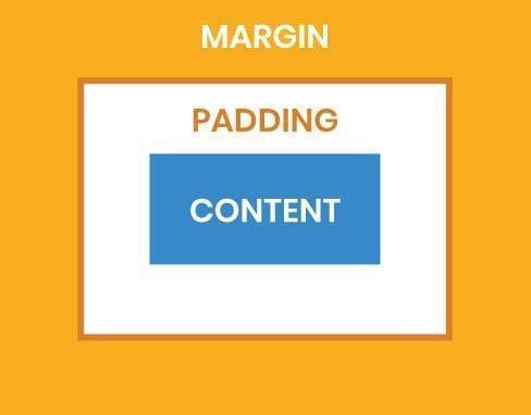 margin & padding